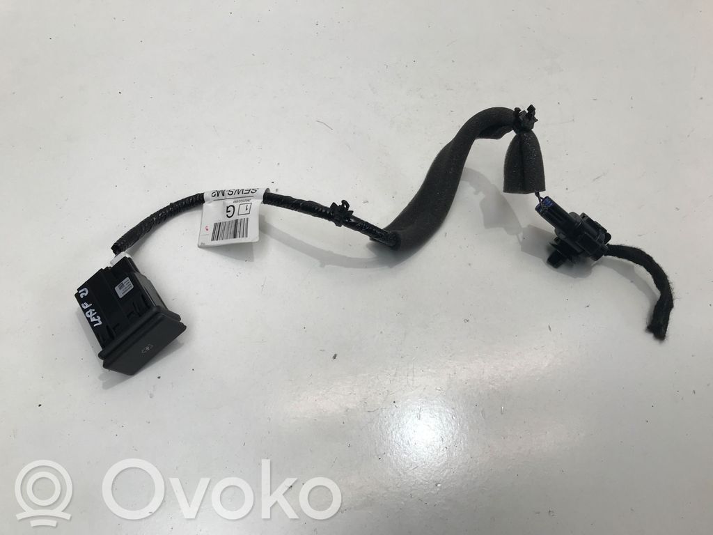 Nissan Leaf II (ZE1) Connettore plug in USB 