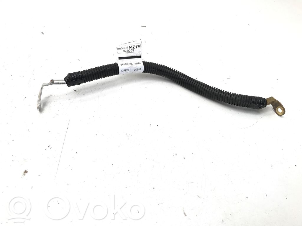 Otros cableados   283605MZ1E