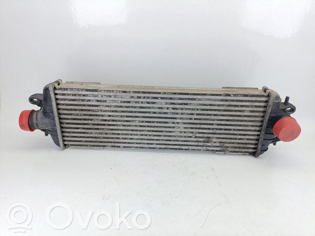 Intercooler radiator   8200219497