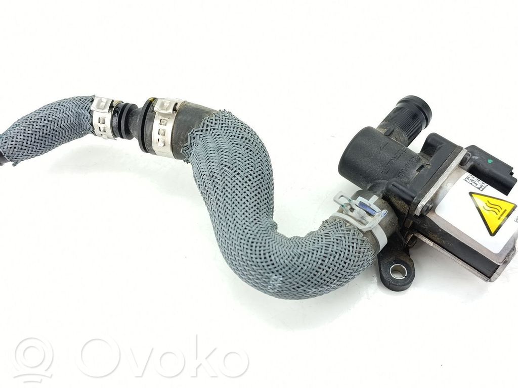 Renault Austral EGR vārsts 