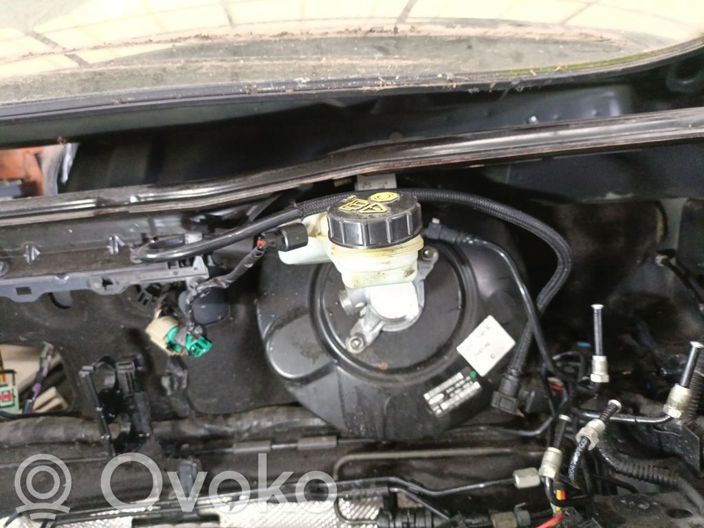 Servofreno   BV612B195AE