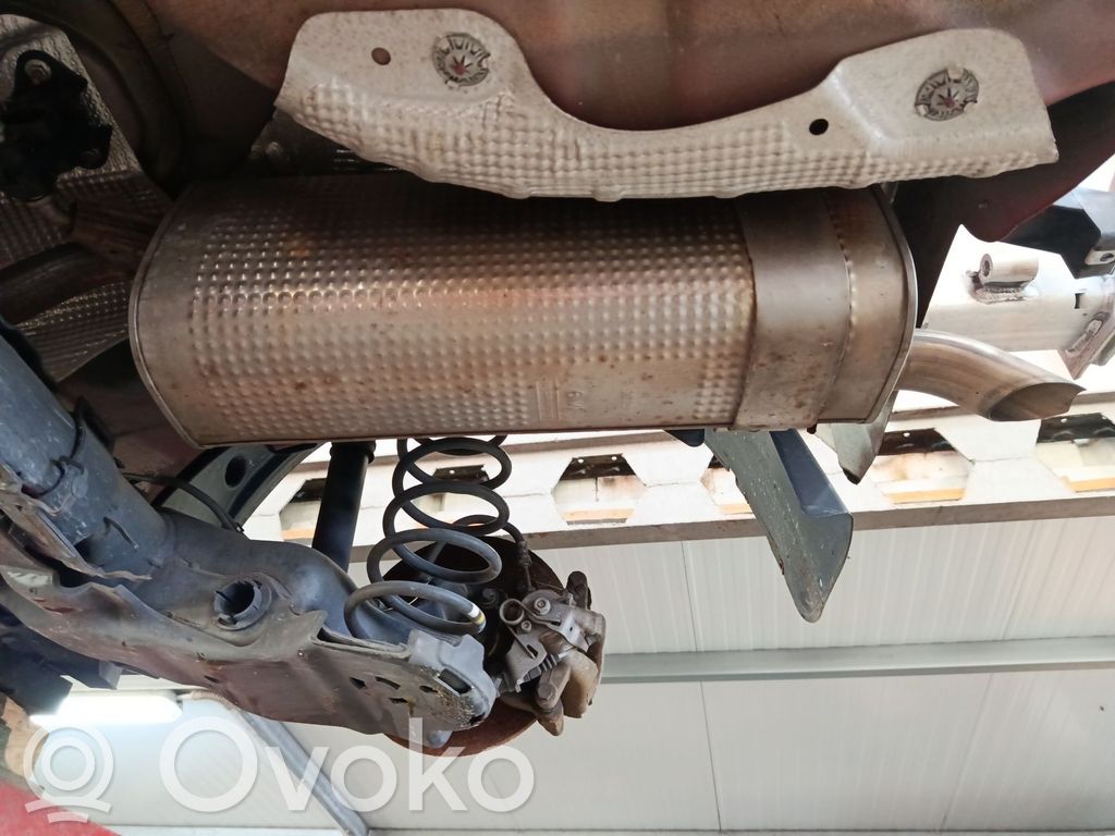 Citroen C3 Galinė pūslė 