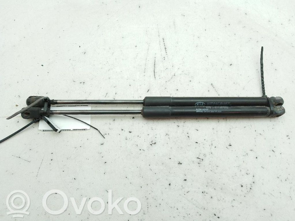 Takaikkunan kaasujousi   81780A2000