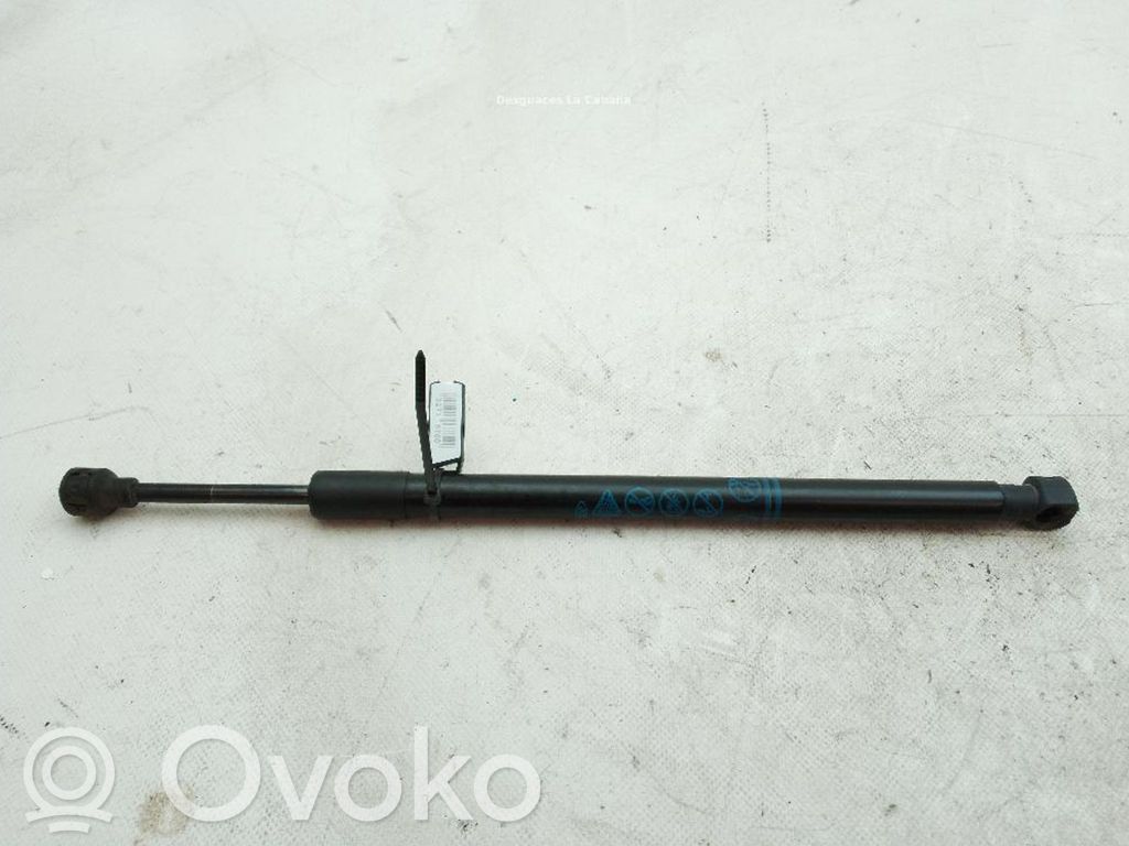 Ford Ecosport Rear window strut damper 