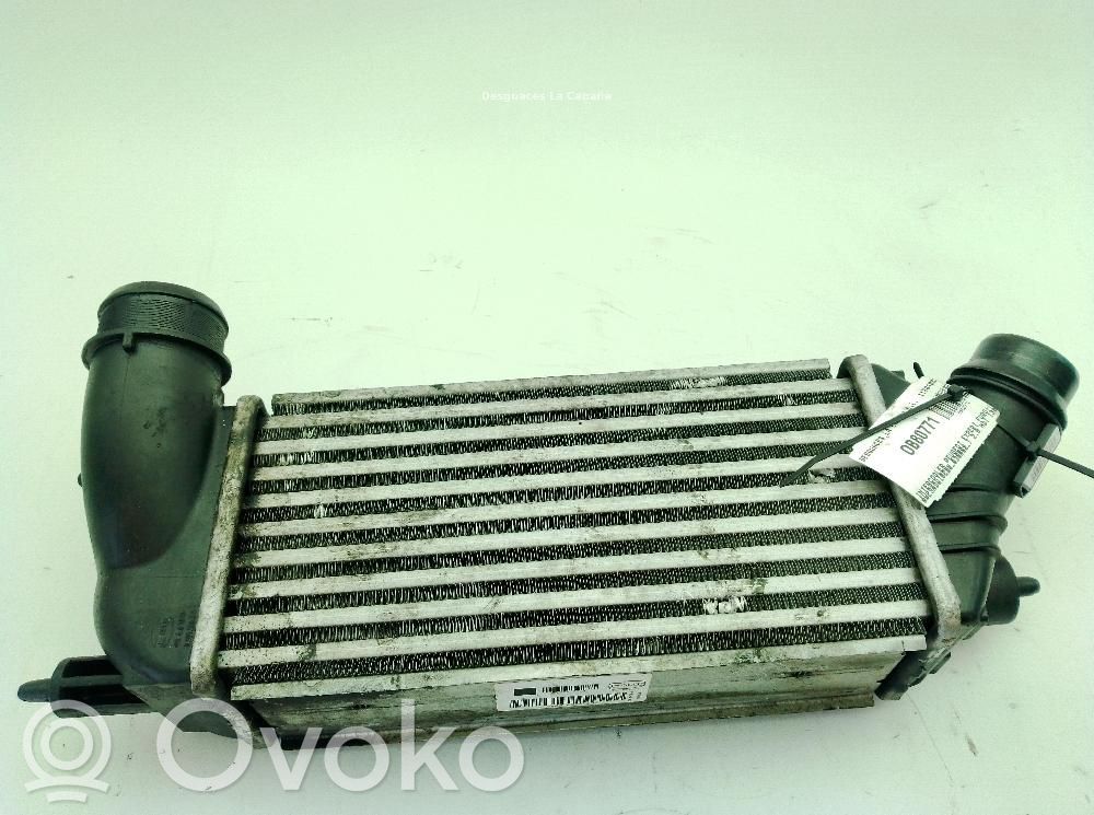 Peugeot Expert Intercooler radiator 
