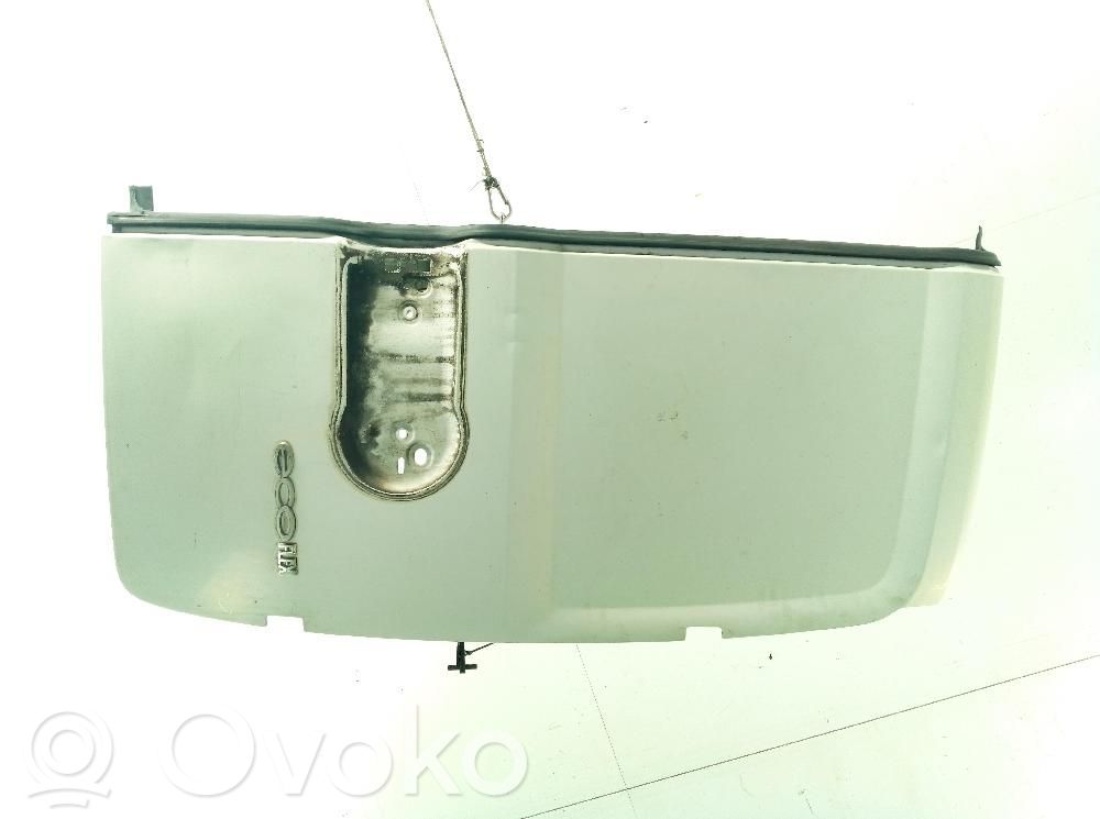 Back/rear loading door   95519553
