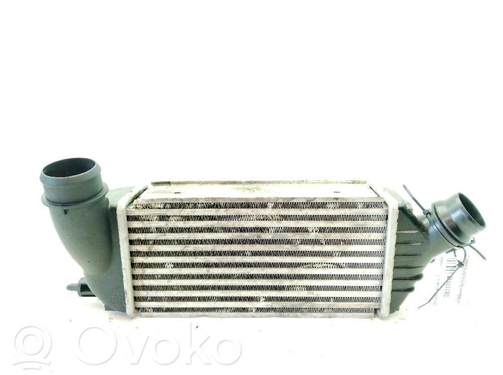 Peugeot Expert Intercooler radiator 
