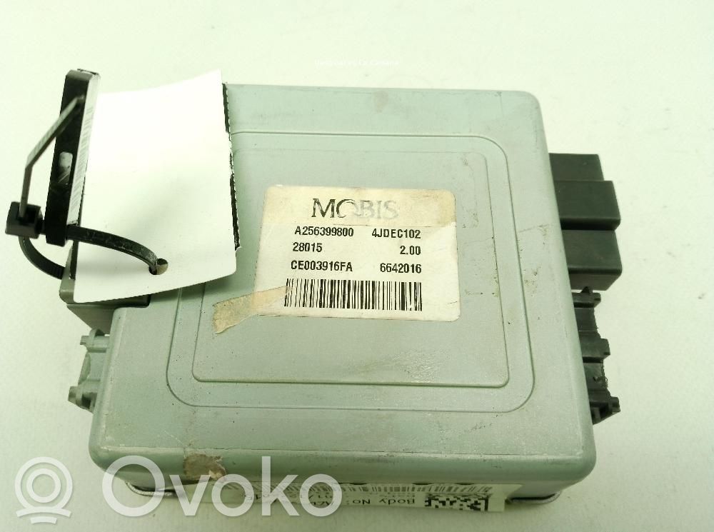 Muut ohjainlaitteet/moduulit   A256399800