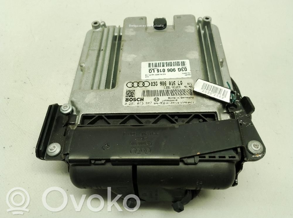 Alte unități/module de control   03G906016LQ