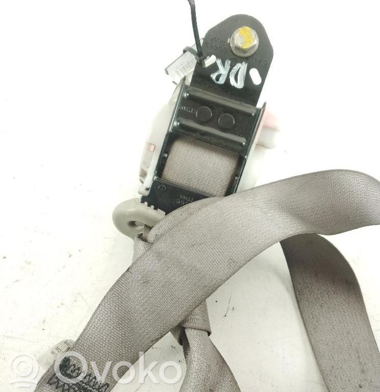 Cinturón delantero   C7116G0669