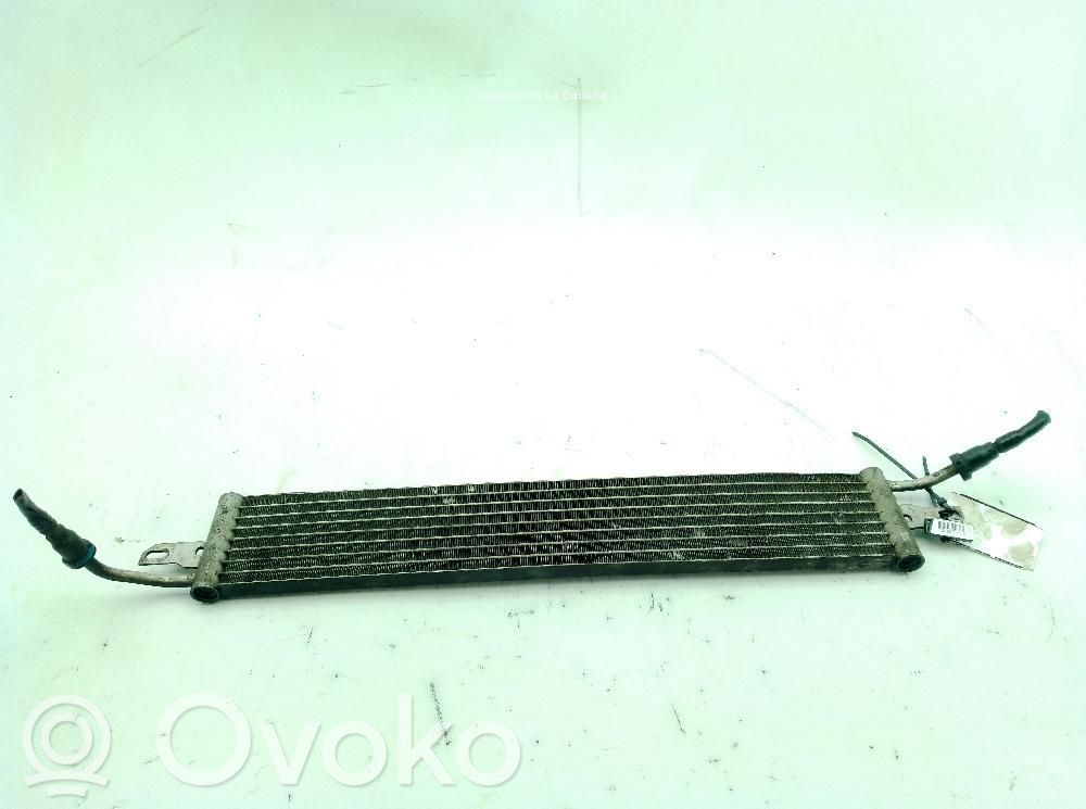 Land Rover Range Rover Sport L320 Radiator lichid răcire 