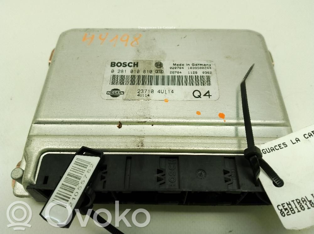 Nissan Almera Tino Inne komputery / moduły / sterowniki 
