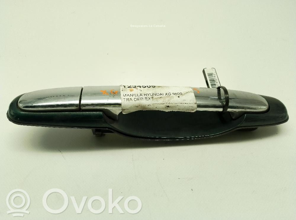Hyundai XG Rear door interior handle 