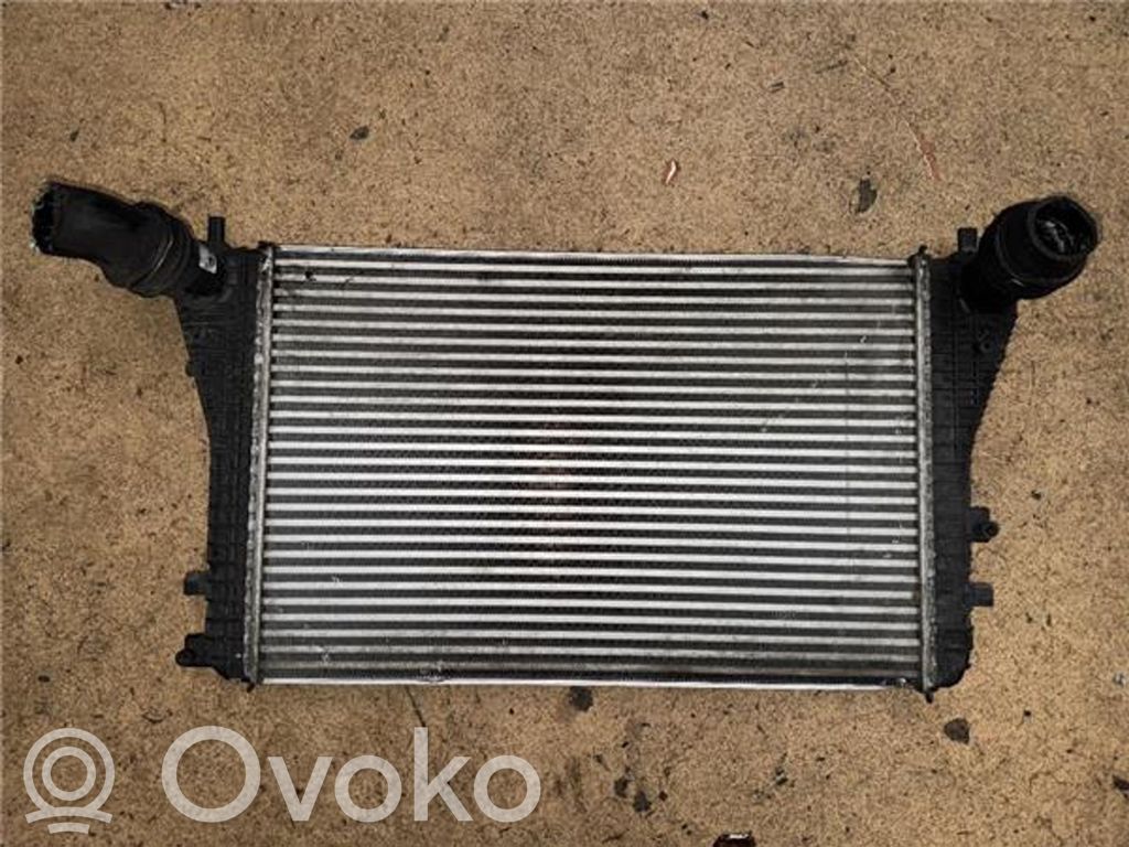 Volkswagen Golf V Interkūlerio radiatorius 