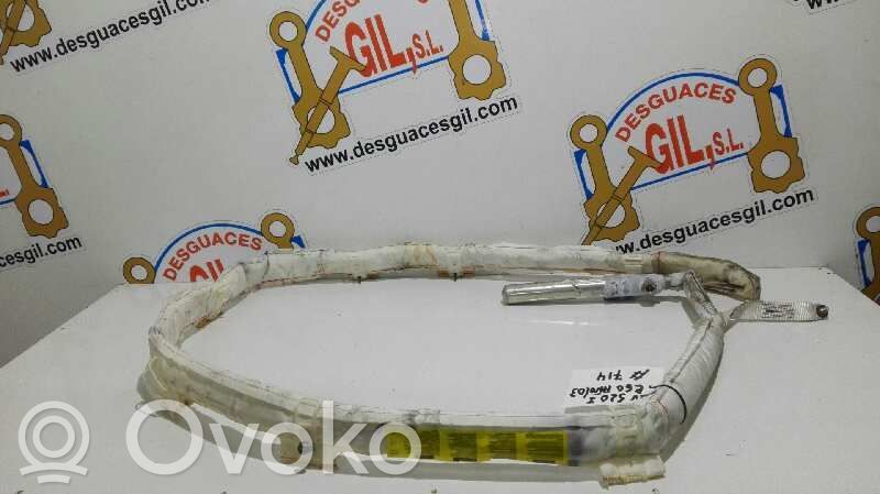 Airbag de toit   857033768119,20347