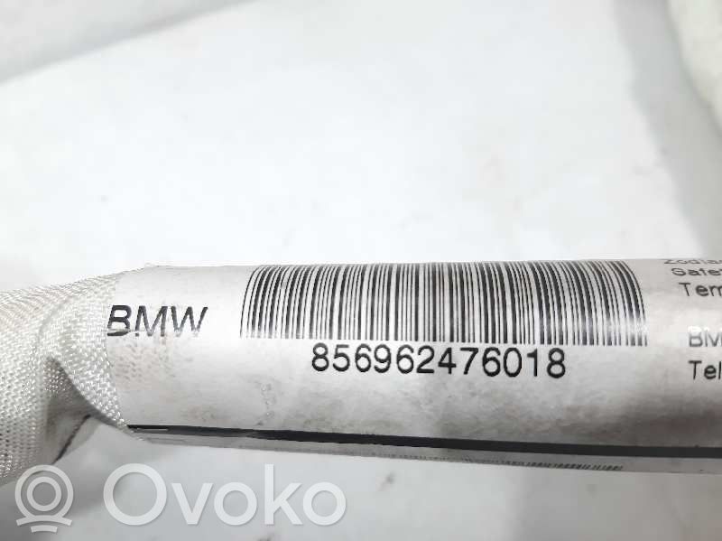 Airbag del techo   856962476018,86904