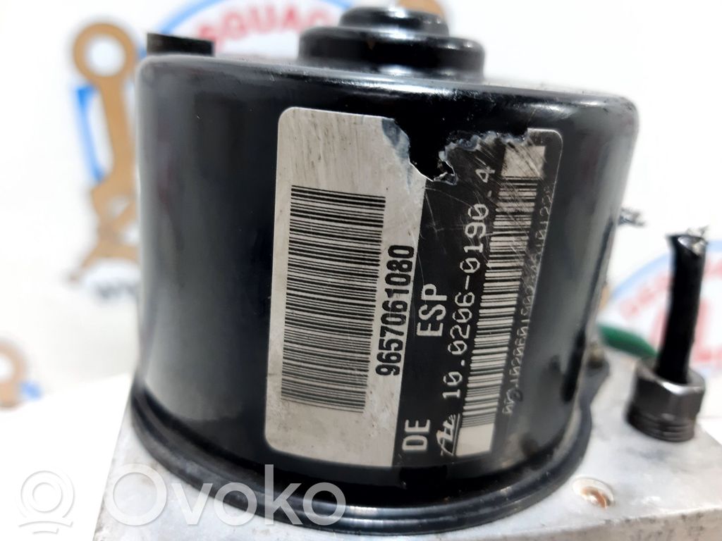 ABS Pump   9657061080,138310