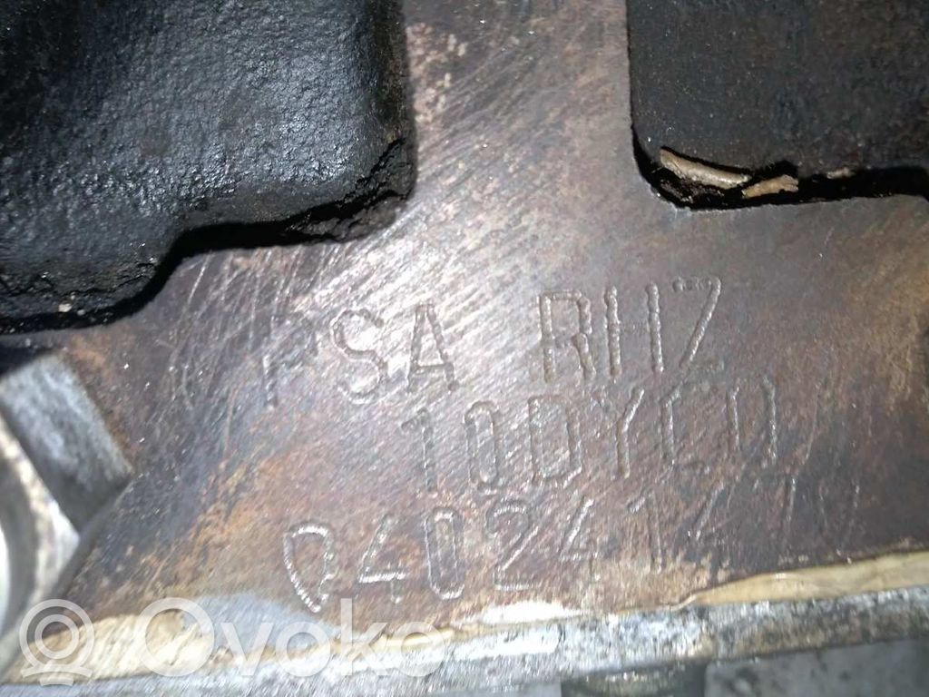Variklis   RHZ,51369
