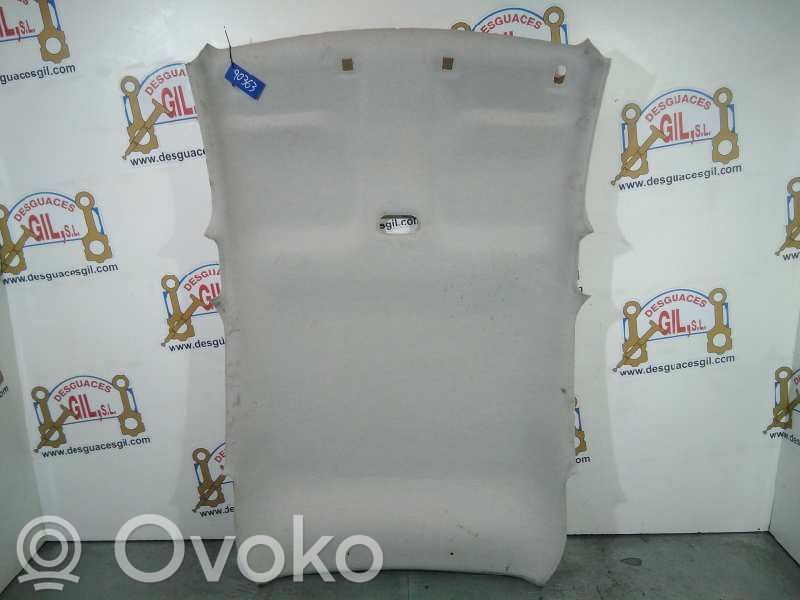 Citroen C3 Headlining 