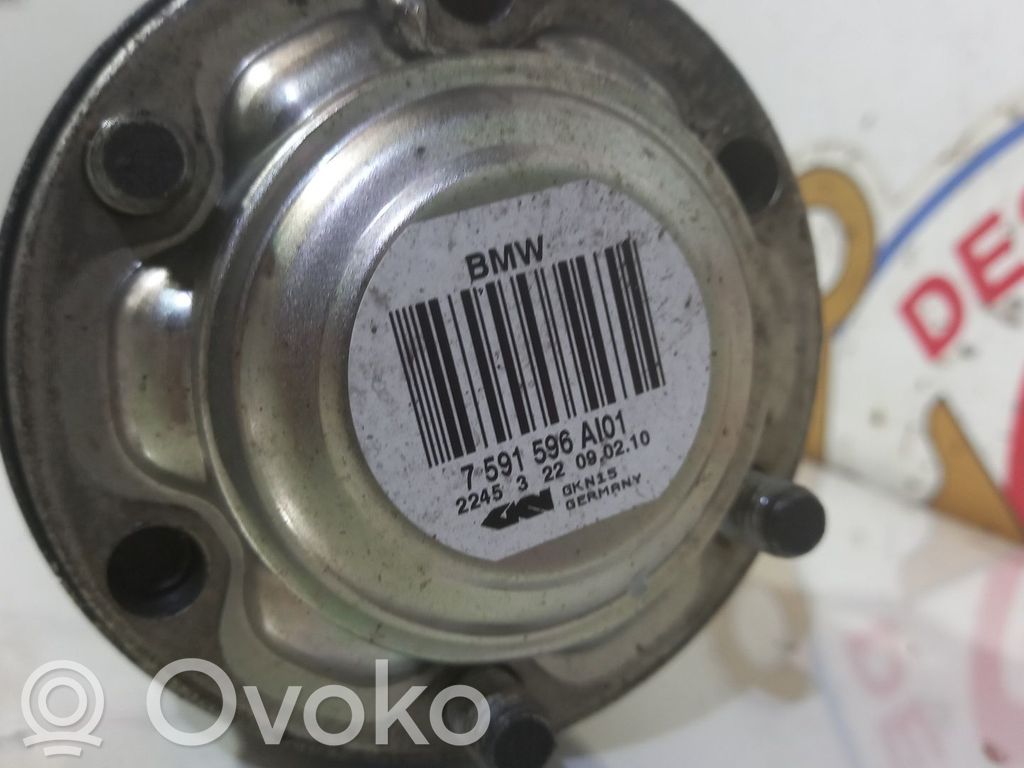 Galinis pusašis   7591596,145097