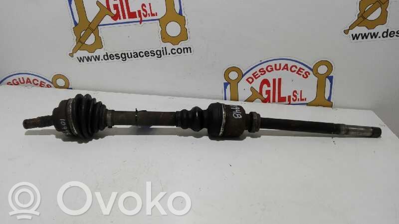 Eje de transmisión delantero   10948