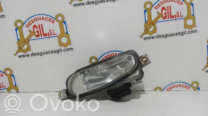 Front fog light   13505