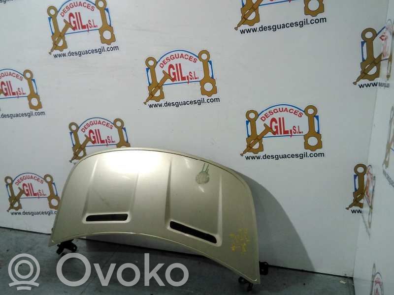 Engine bonnet/hood   56811