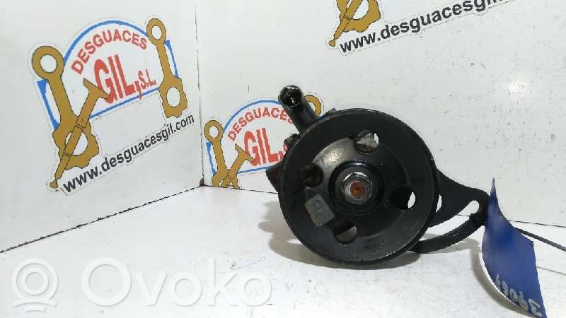 Power steering pump   39067