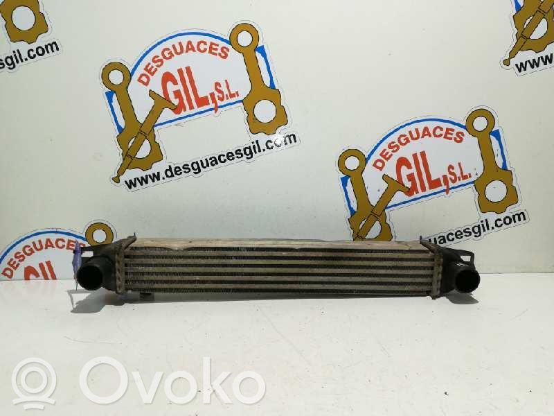 Intercooler radiator   50514