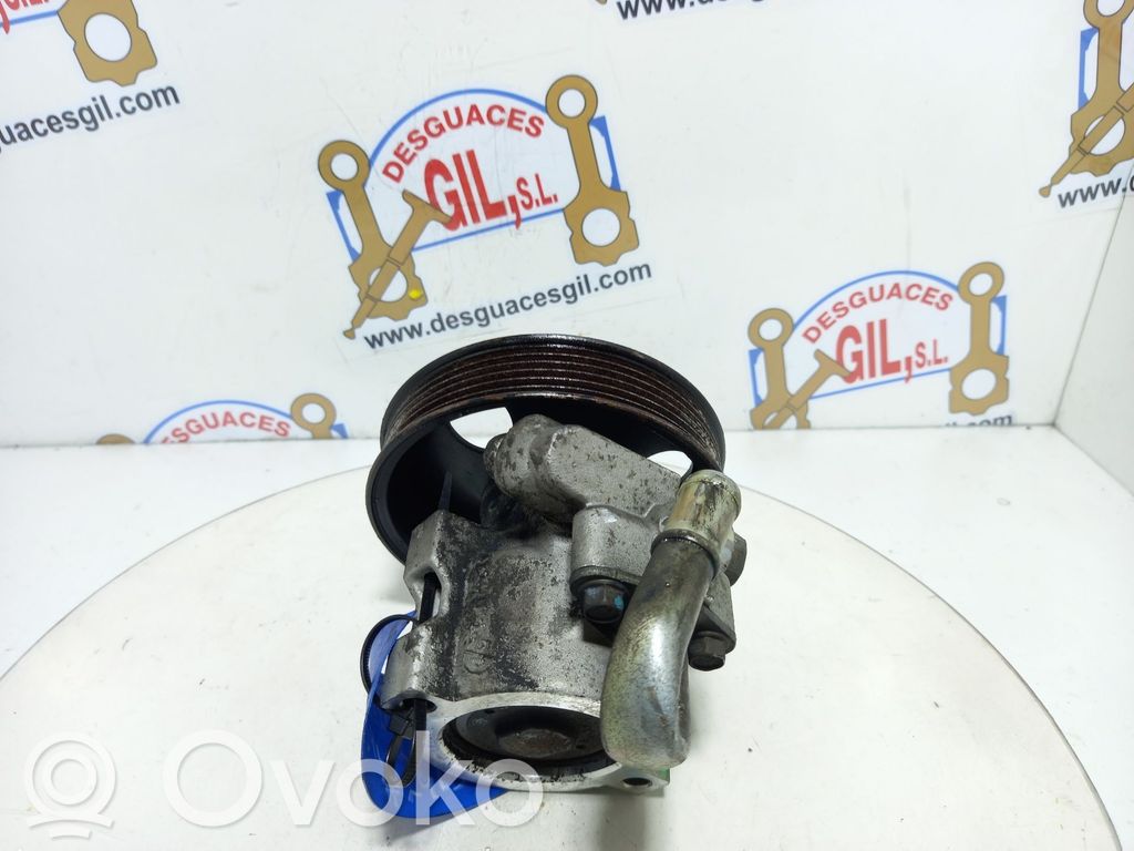 Power steering pump   115002