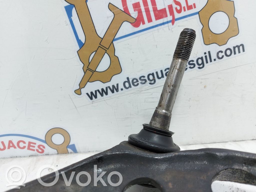 Dakša   104794