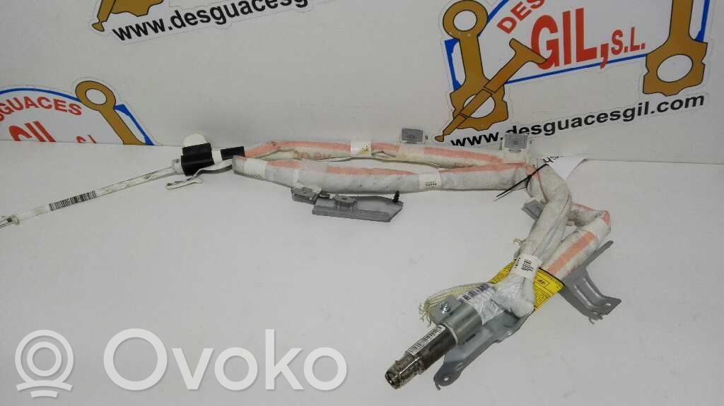 Airbag del techo   605287400,8455