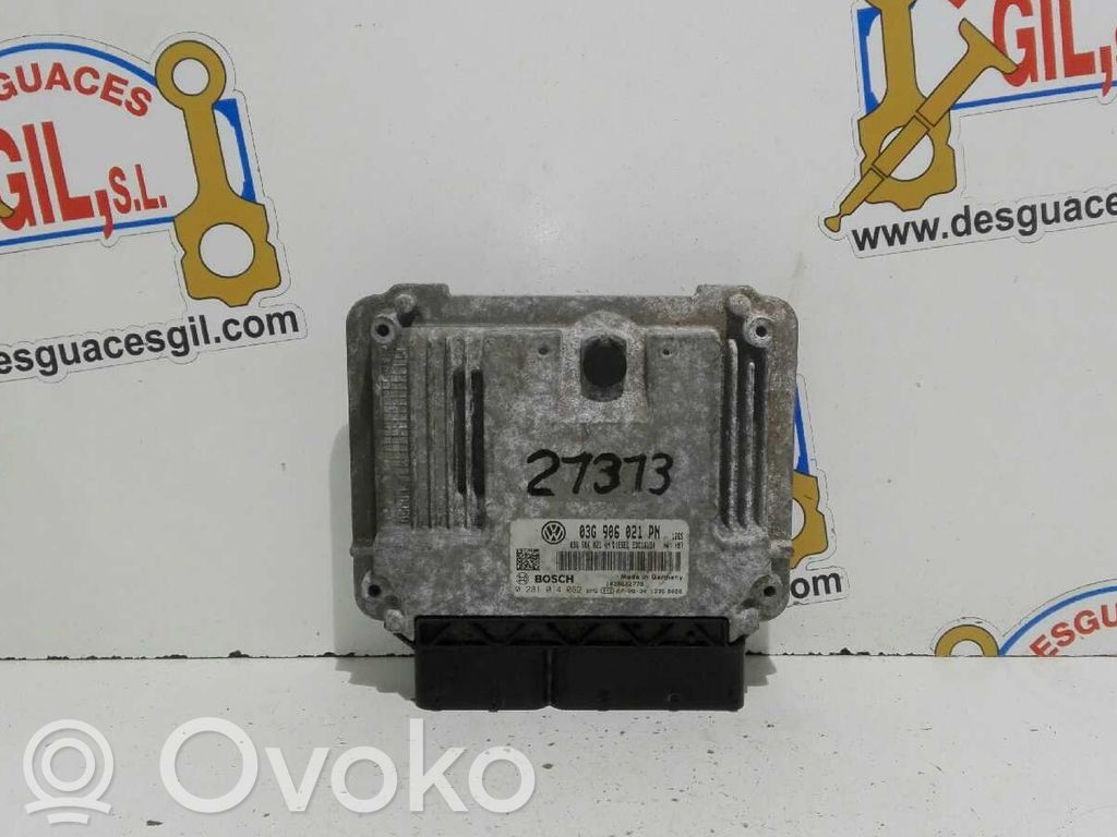 Engine control unit/module   03G906021,21313