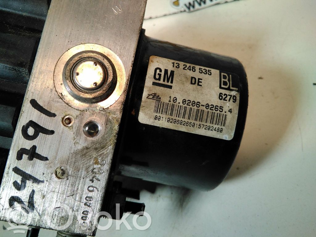 ABS-pumppu   13246535,24791