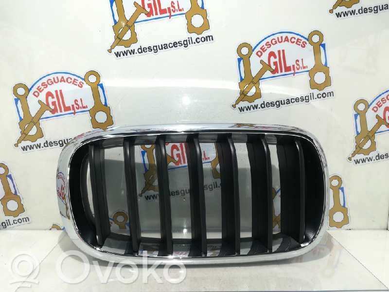 BMW X5 F15 Grilă față 