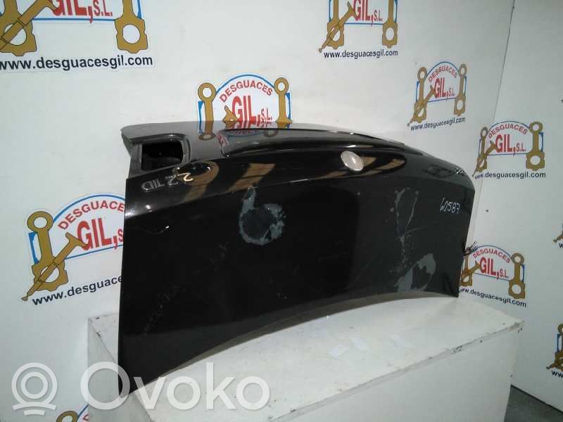 Tailgate/trunk/boot lid   60587