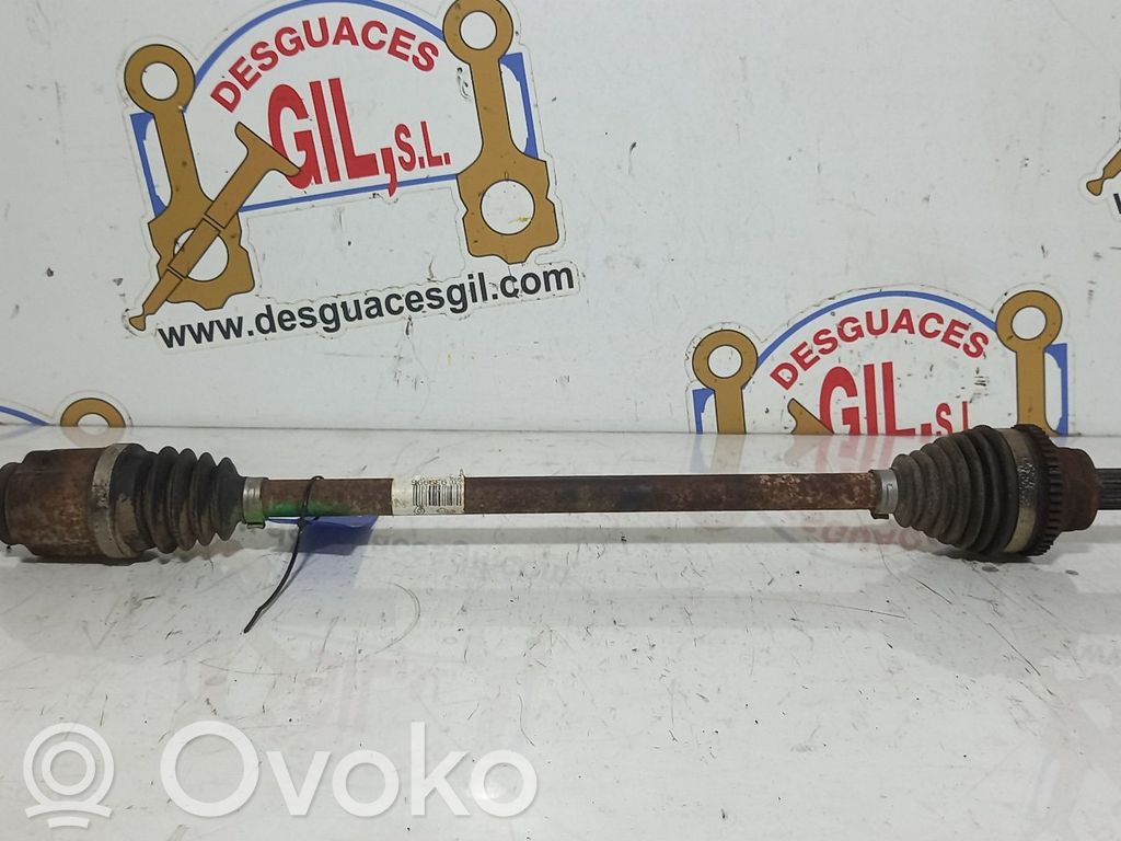 Galinis pusašis   8200939996,128198