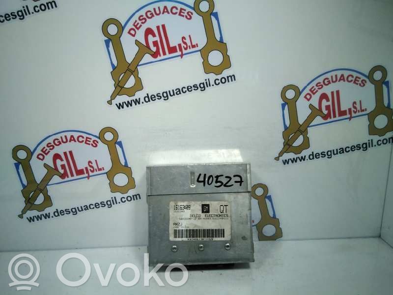 Engine control unit/module   16163409,40527