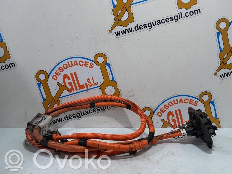 Peugeot iOn Other control units/modules 