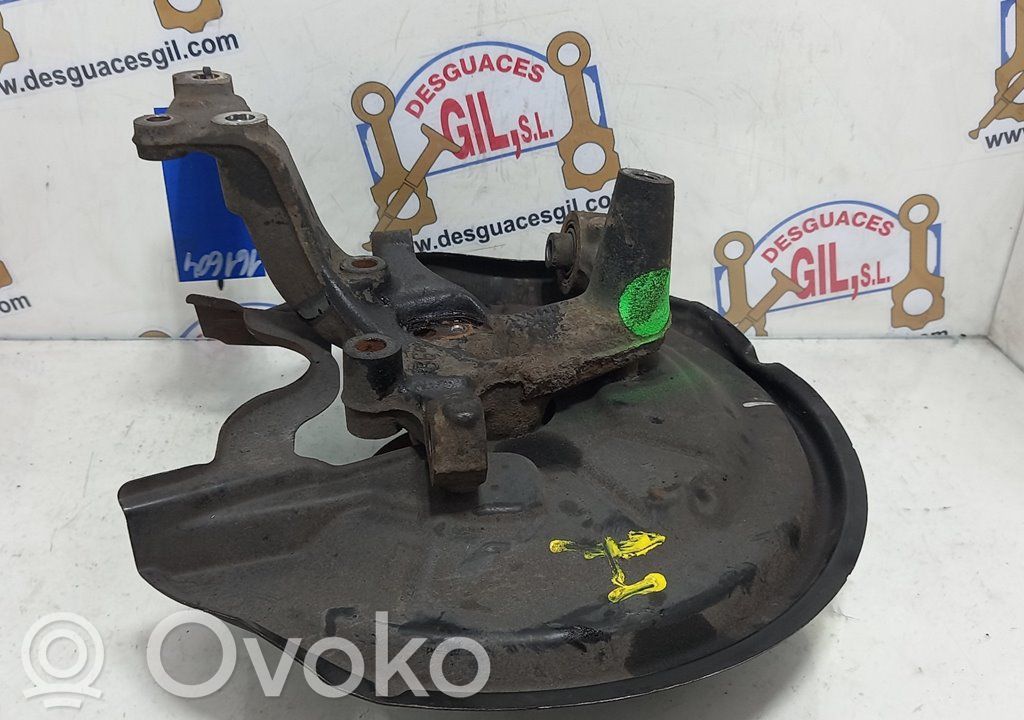 Volkswagen Golf VI Rear wheel hub spindle/knuckle 