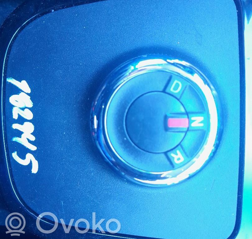 Selector caja de cambios   251300769R,182945