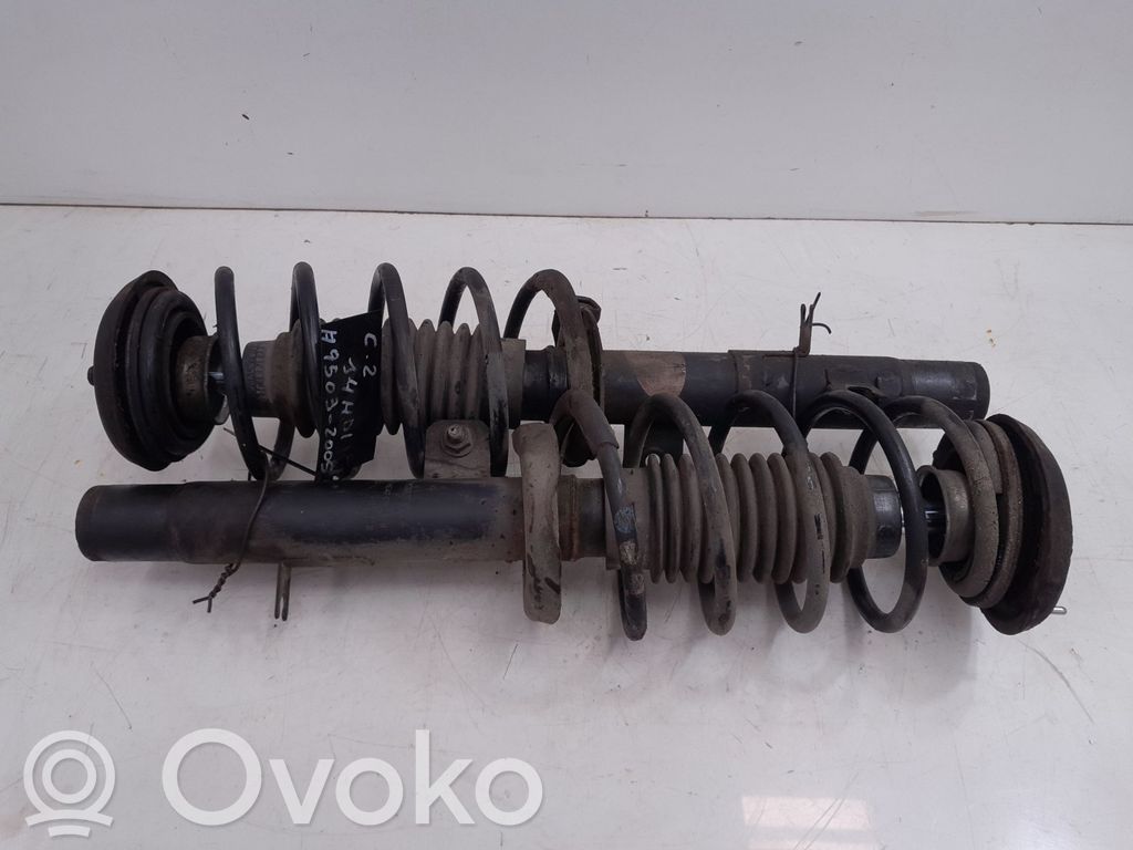 Amortiguador delantero   216116
