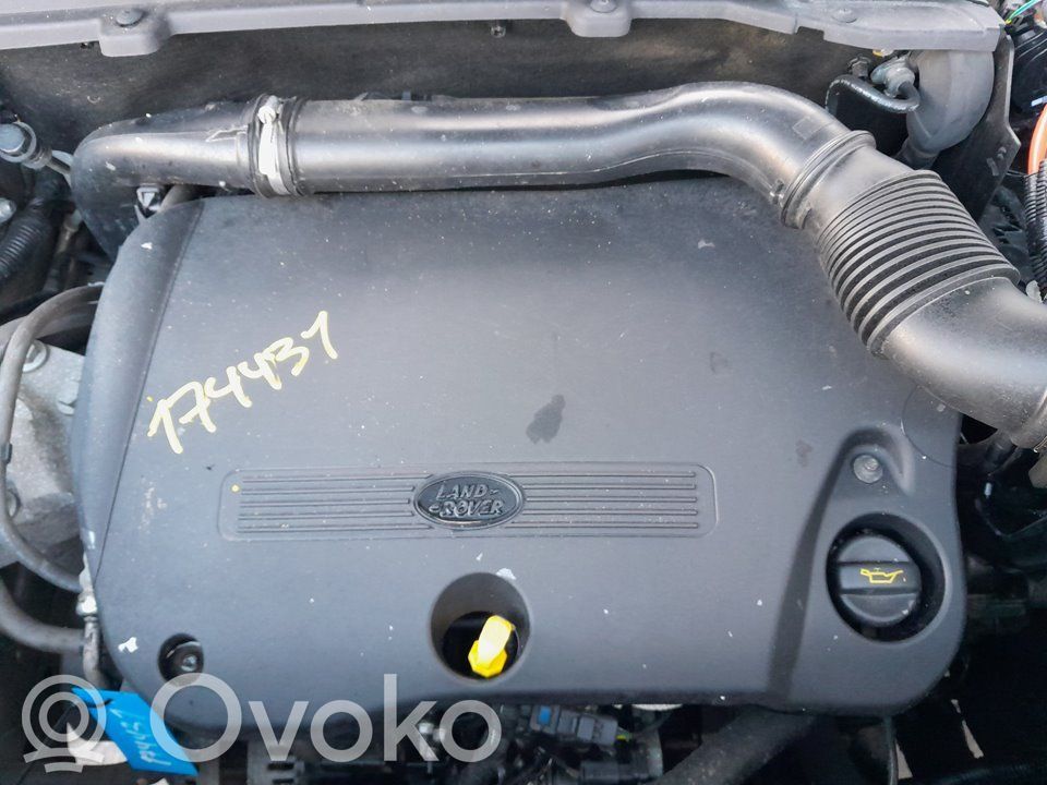 Motor   224DT,174431