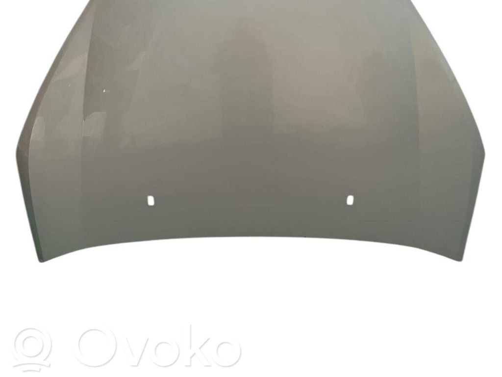 Engine bonnet/hood