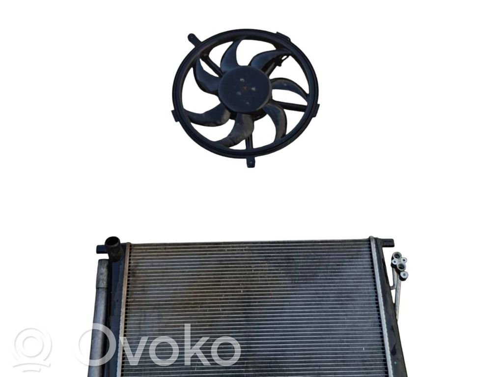 Mini Cooper Countryman R60 Ventilator electric răcire radiator 