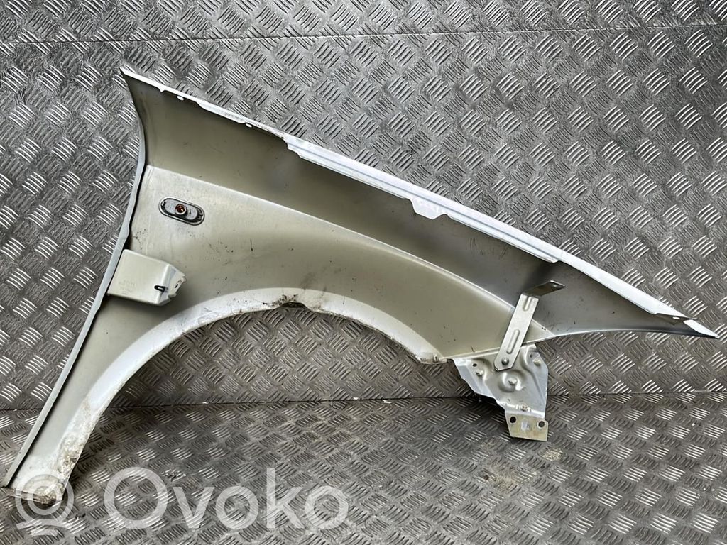 Guardabarro   5P0821021A