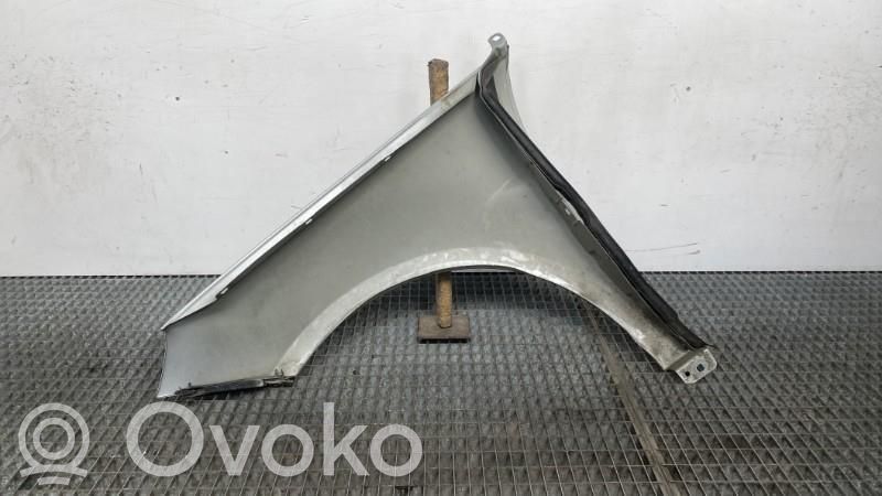 Parafango   1698800818