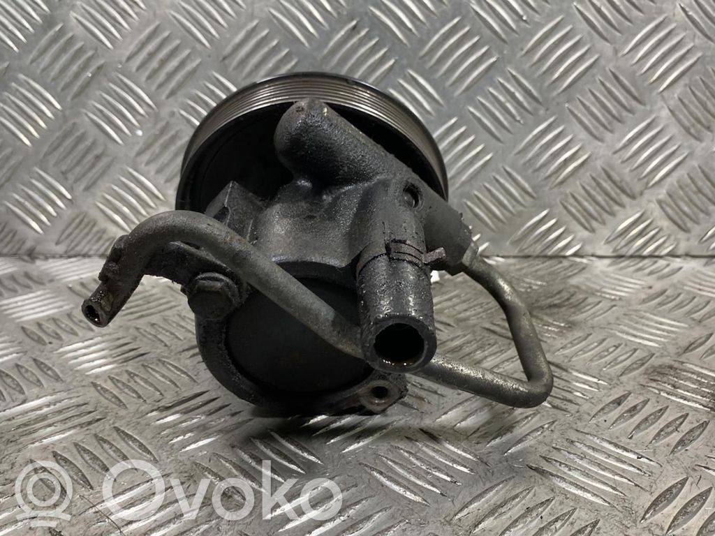 Servopumpe   491106541R
