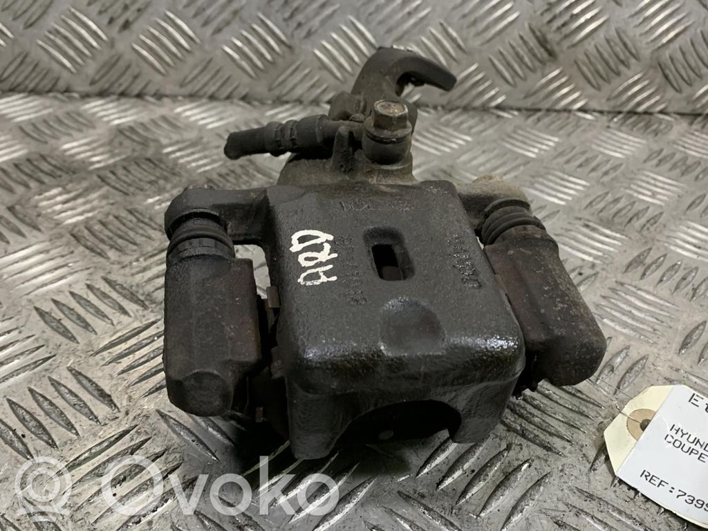 Takajarrusatula   5832029A20