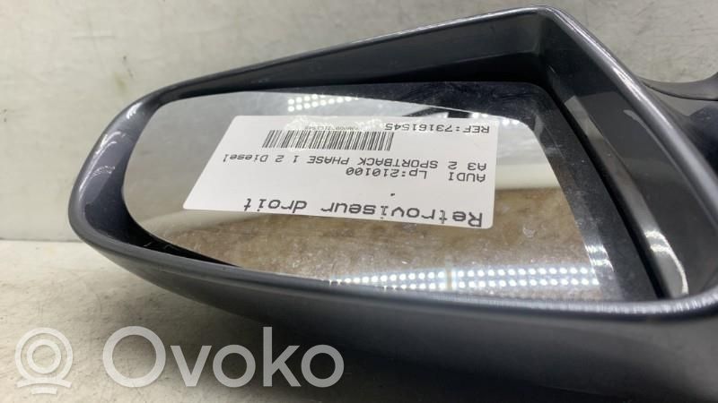 Audi A3 S3 A3 Sportback 8P Manualne lusterko boczne drzwi przednich 